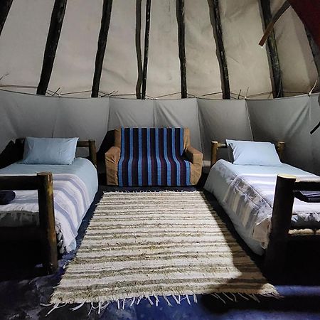 Tsitsikamma Wolf Sanctuary Eco Cabins & Teepees Stormsrivier Dış mekan fotoğraf