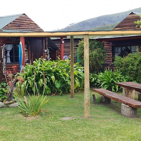 Tsitsikamma Wolf Sanctuary Eco Cabins & Teepees Stormsrivier Dış mekan fotoğraf