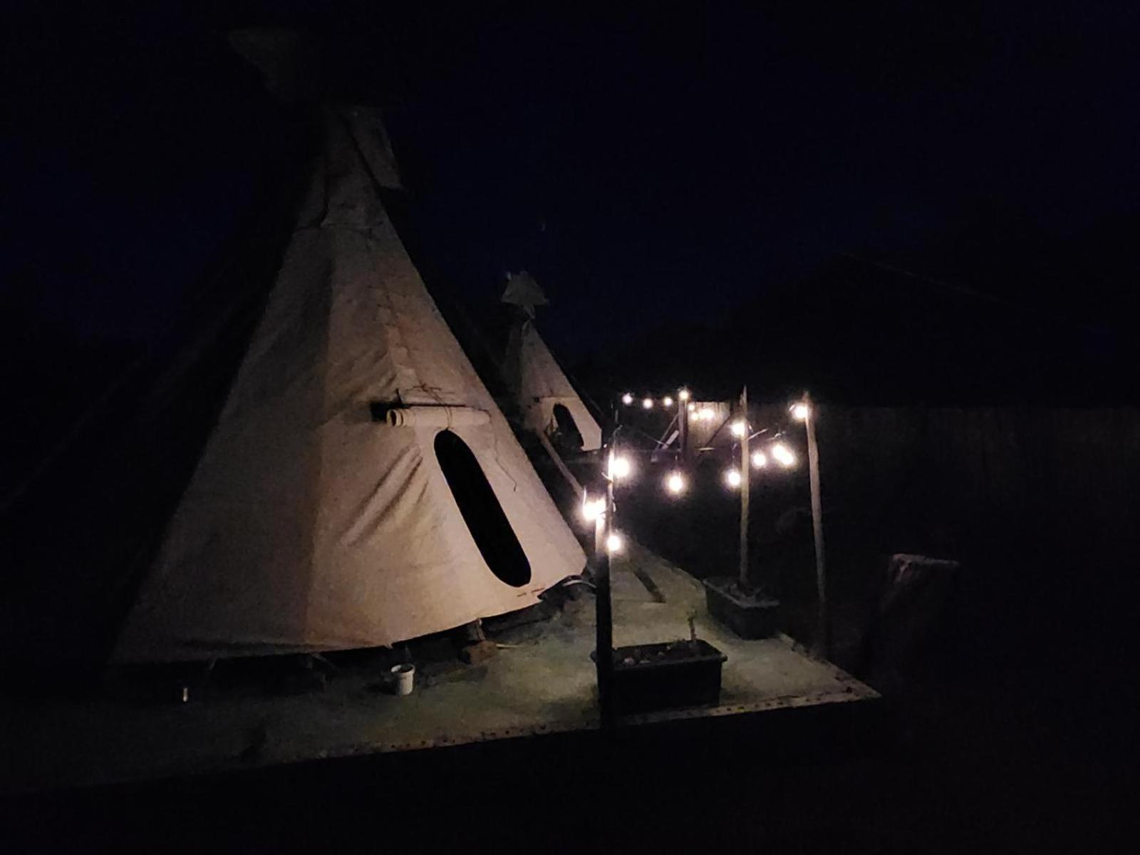 Tsitsikamma Wolf Sanctuary Eco Cabins & Teepees Stormsrivier Oda fotoğraf
