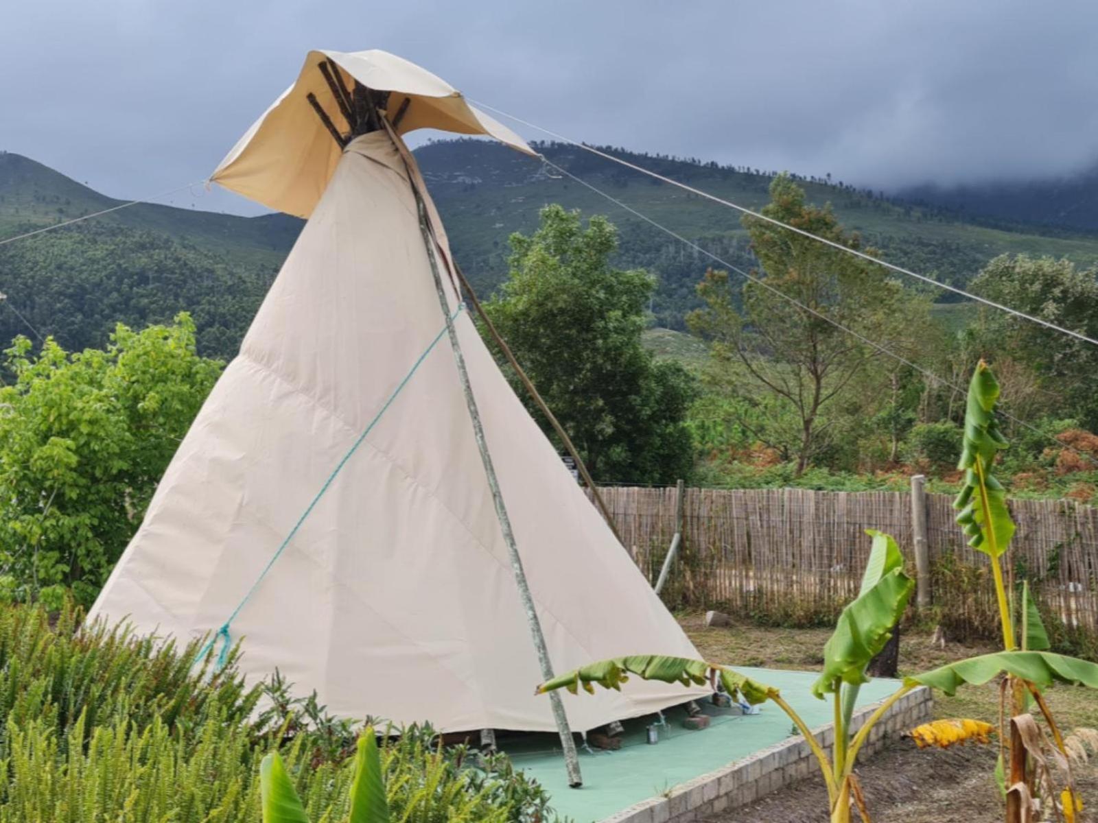 Tsitsikamma Wolf Sanctuary Eco Cabins & Teepees Stormsrivier Dış mekan fotoğraf