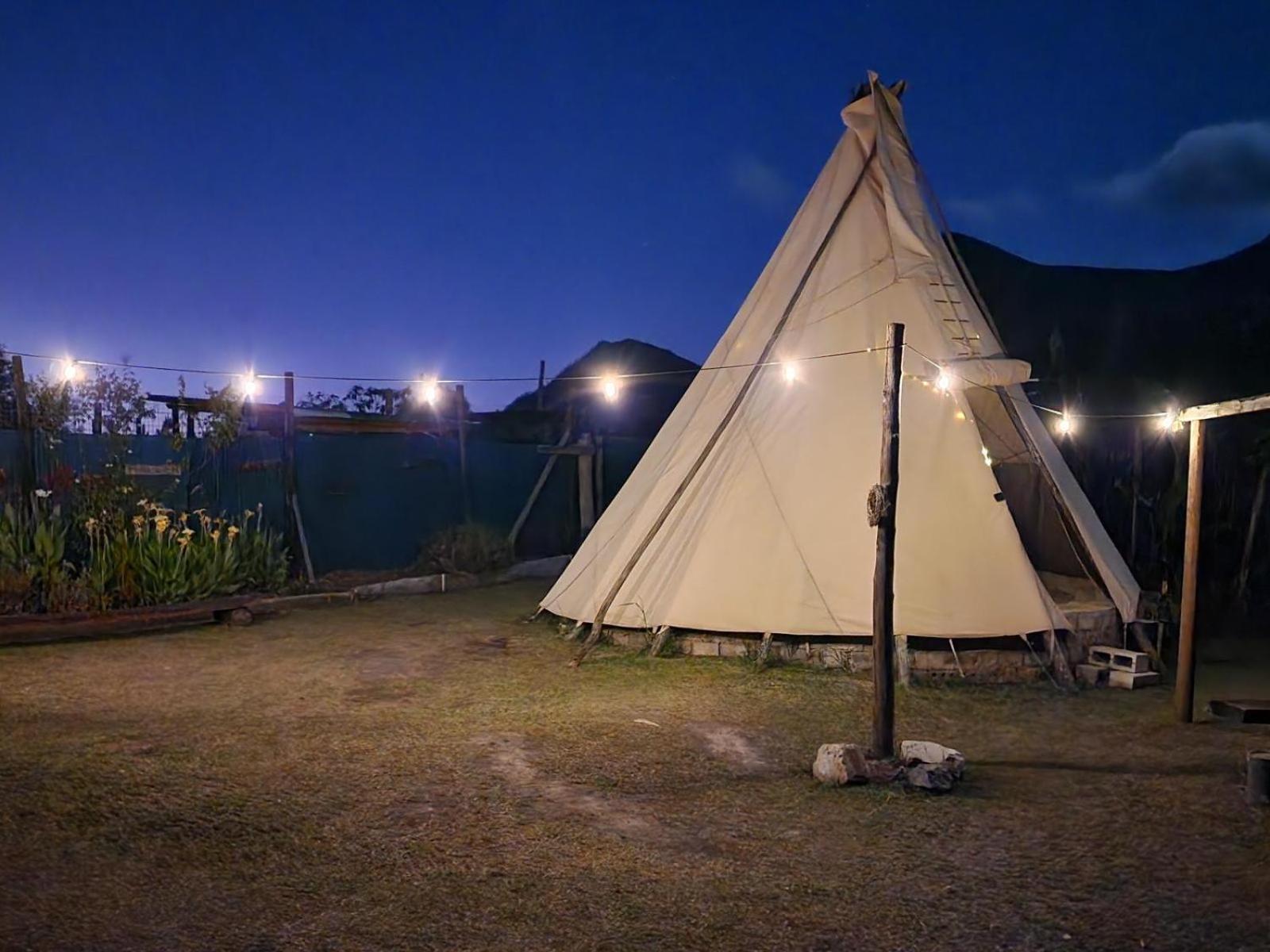 Tsitsikamma Wolf Sanctuary Eco Cabins & Teepees Stormsrivier Dış mekan fotoğraf