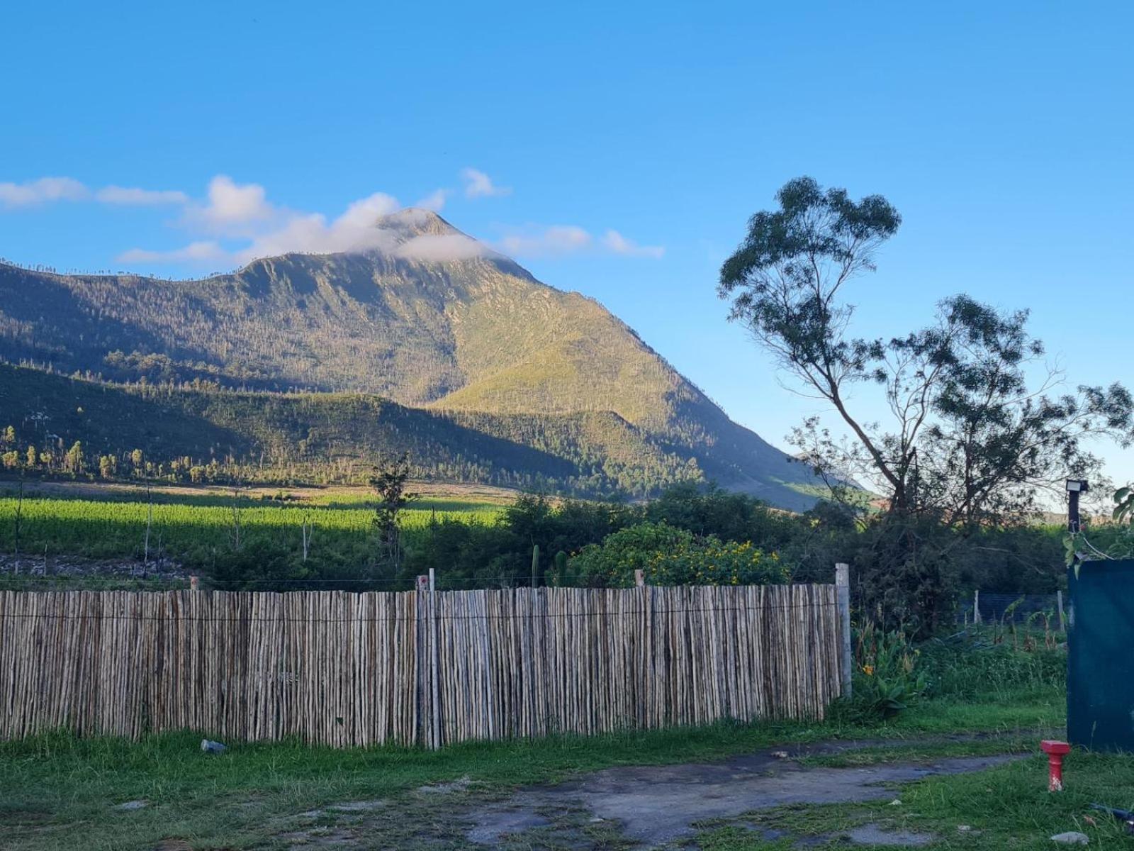 Tsitsikamma Wolf Sanctuary Eco Cabins & Teepees Stormsrivier Dış mekan fotoğraf