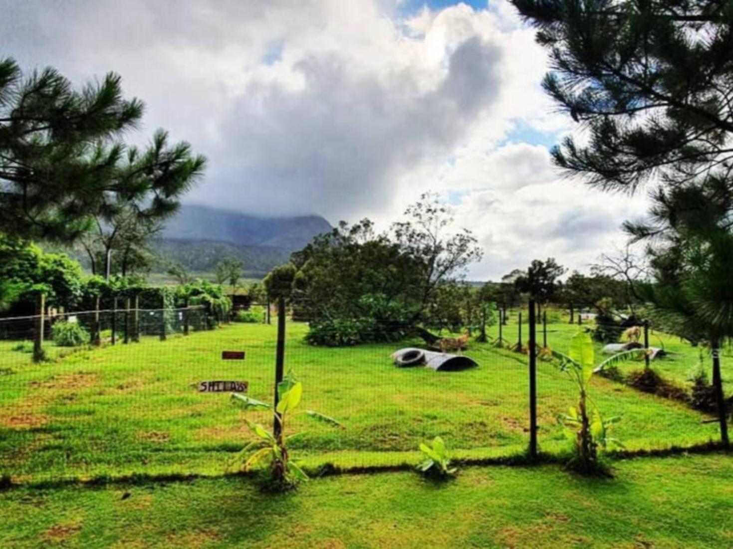 Tsitsikamma Wolf Sanctuary Eco Cabins & Teepees Stormsrivier Dış mekan fotoğraf