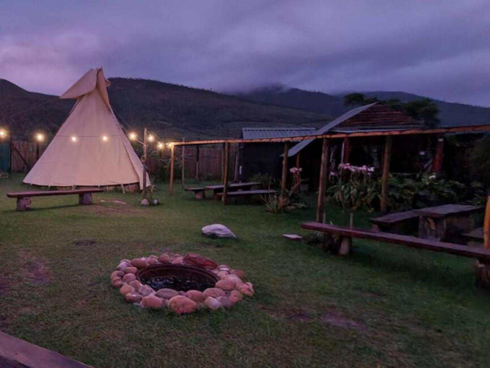 Tsitsikamma Wolf Sanctuary Eco Cabins & Teepees Stormsrivier Dış mekan fotoğraf