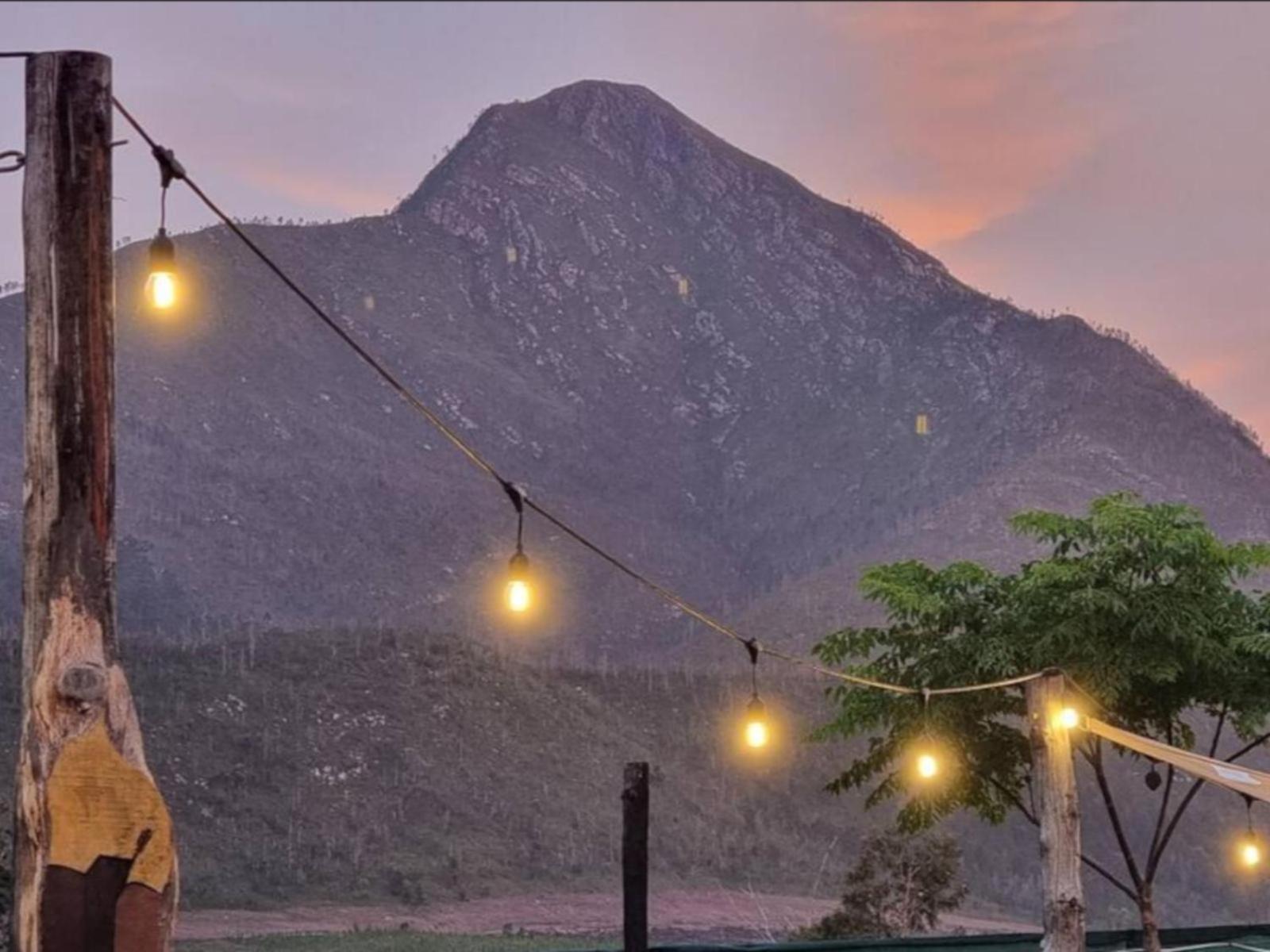 Tsitsikamma Wolf Sanctuary Eco Cabins & Teepees Stormsrivier Dış mekan fotoğraf