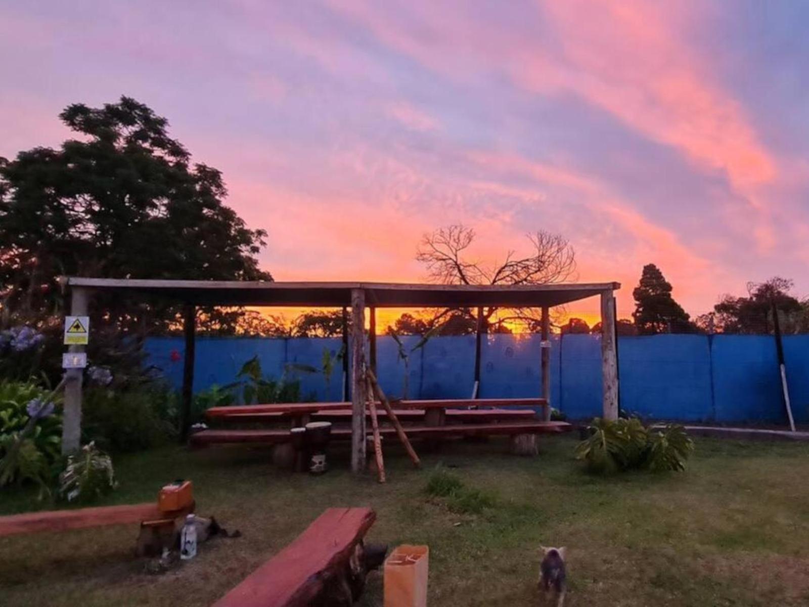 Tsitsikamma Wolf Sanctuary Eco Cabins & Teepees Stormsrivier Dış mekan fotoğraf