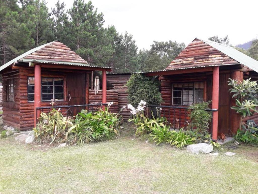 Tsitsikamma Wolf Sanctuary Eco Cabins & Teepees Stormsrivier Dış mekan fotoğraf