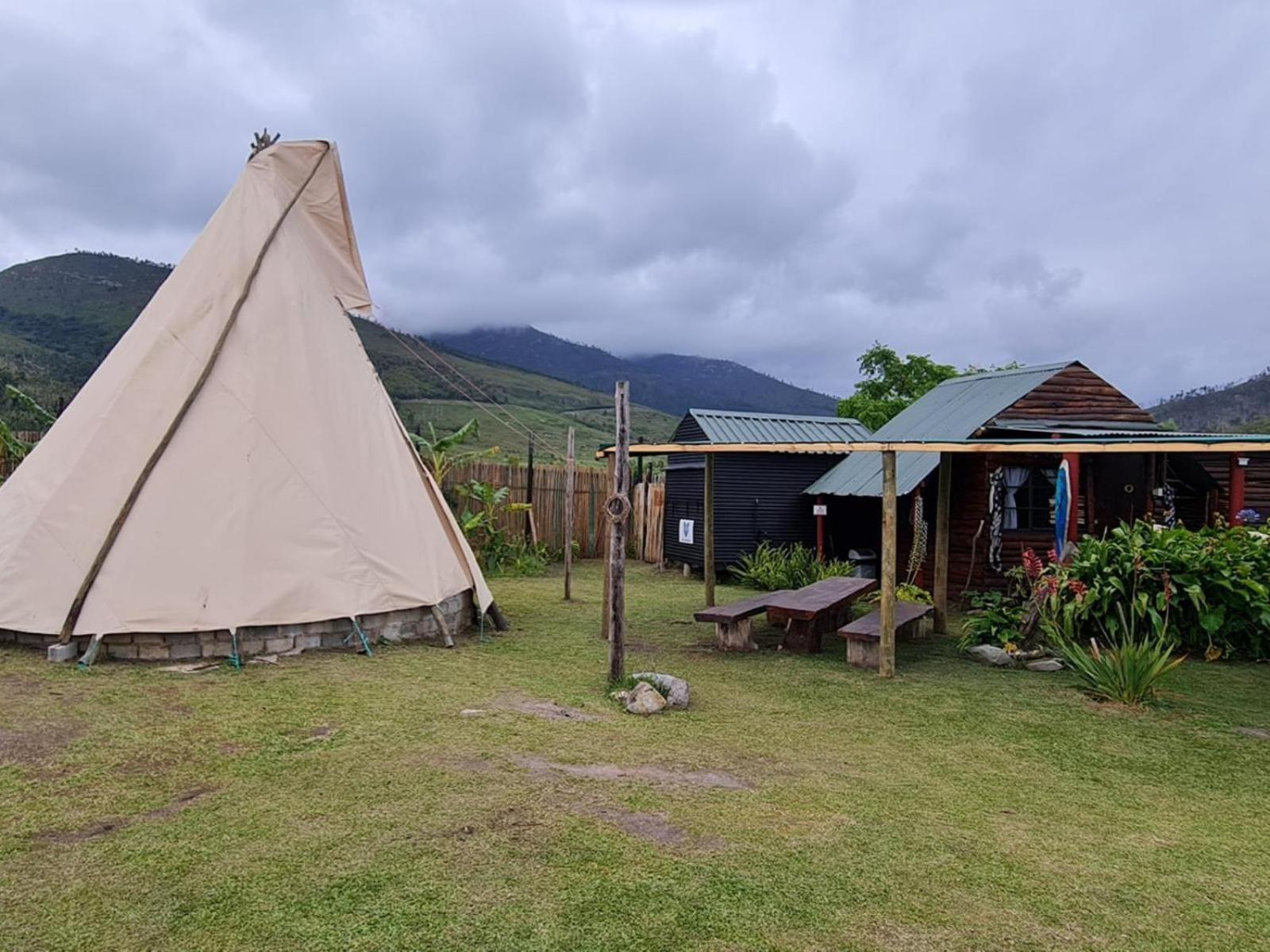 Tsitsikamma Wolf Sanctuary Eco Cabins & Teepees Stormsrivier Dış mekan fotoğraf