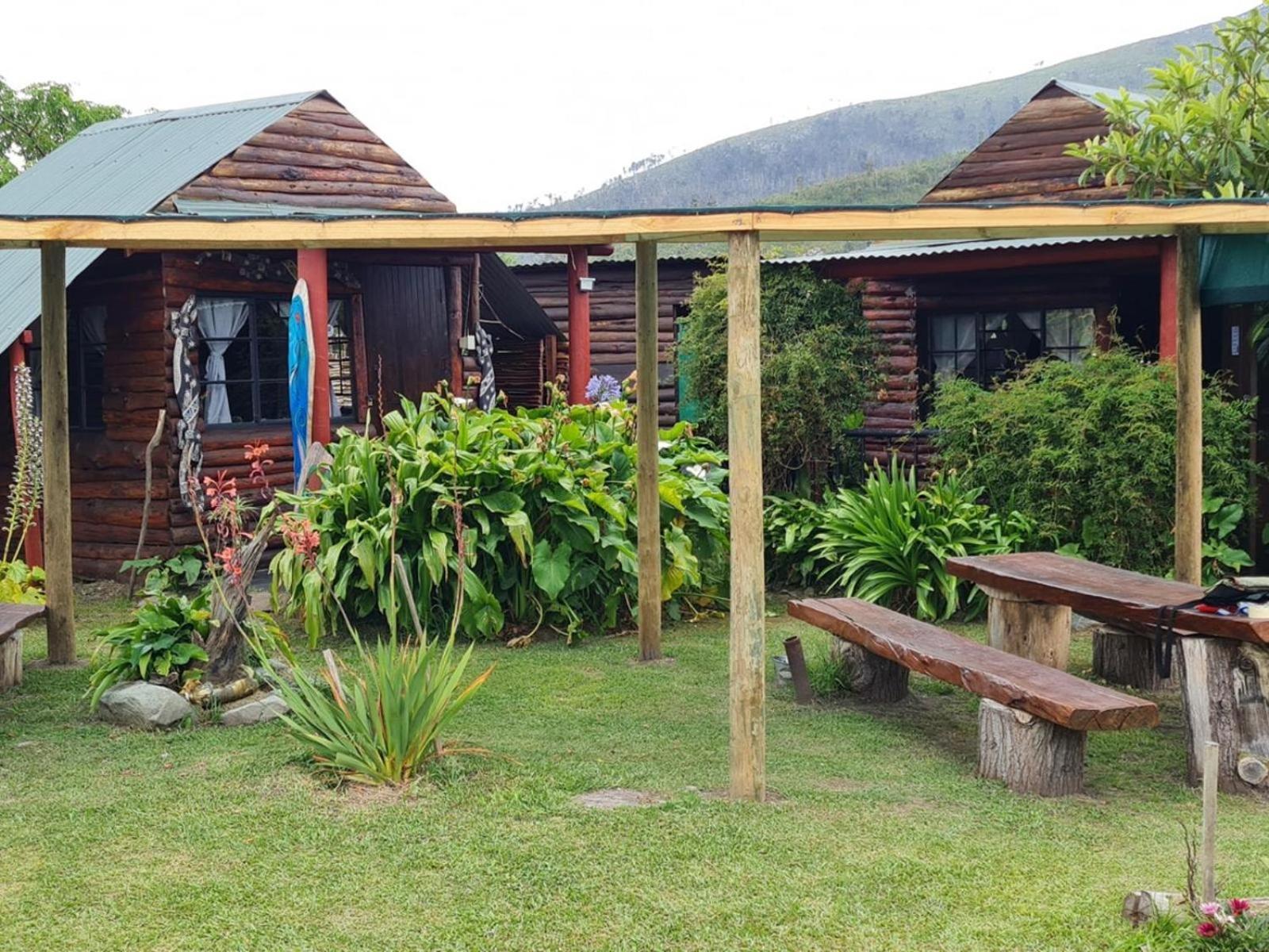 Tsitsikamma Wolf Sanctuary Eco Cabins & Teepees Stormsrivier Dış mekan fotoğraf
