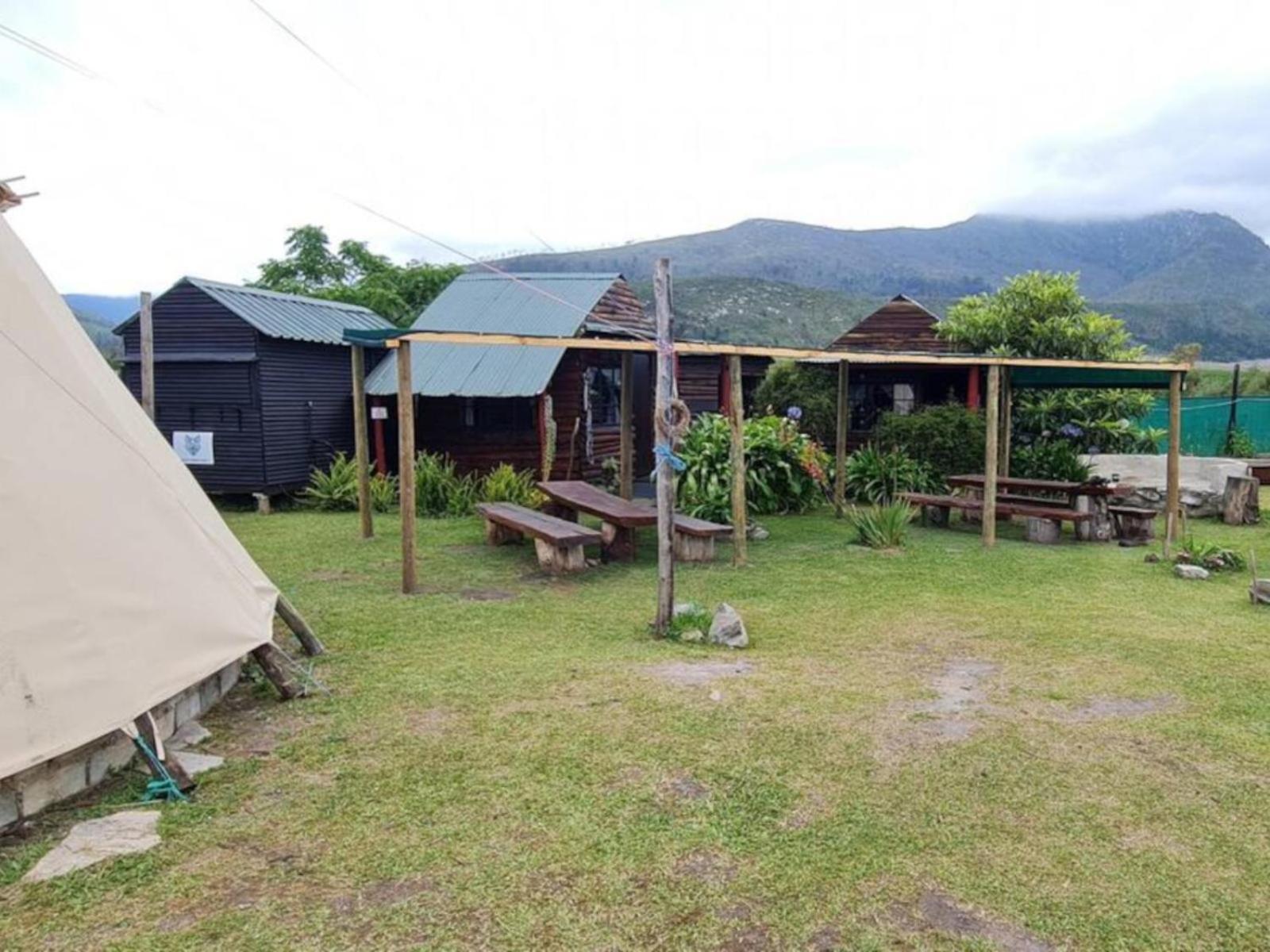 Tsitsikamma Wolf Sanctuary Eco Cabins & Teepees Stormsrivier Dış mekan fotoğraf