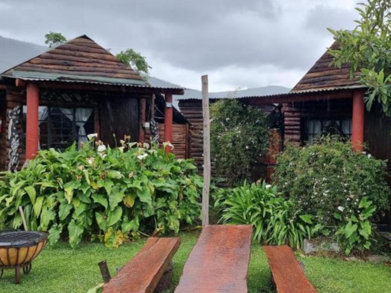 Tsitsikamma Wolf Sanctuary Eco Cabins & Teepees Stormsrivier Dış mekan fotoğraf