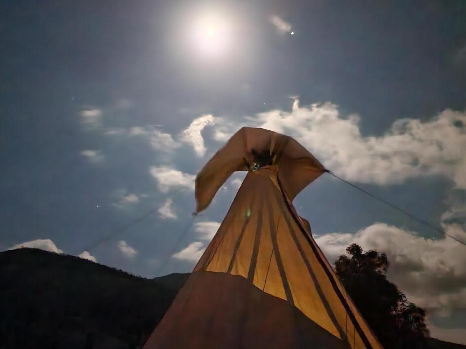 Tsitsikamma Wolf Sanctuary Eco Cabins & Teepees Stormsrivier Oda fotoğraf