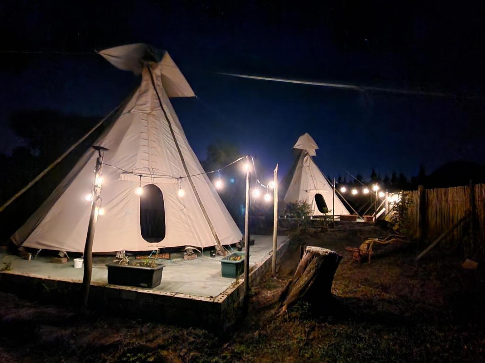 Tsitsikamma Wolf Sanctuary Eco Cabins & Teepees Stormsrivier Oda fotoğraf