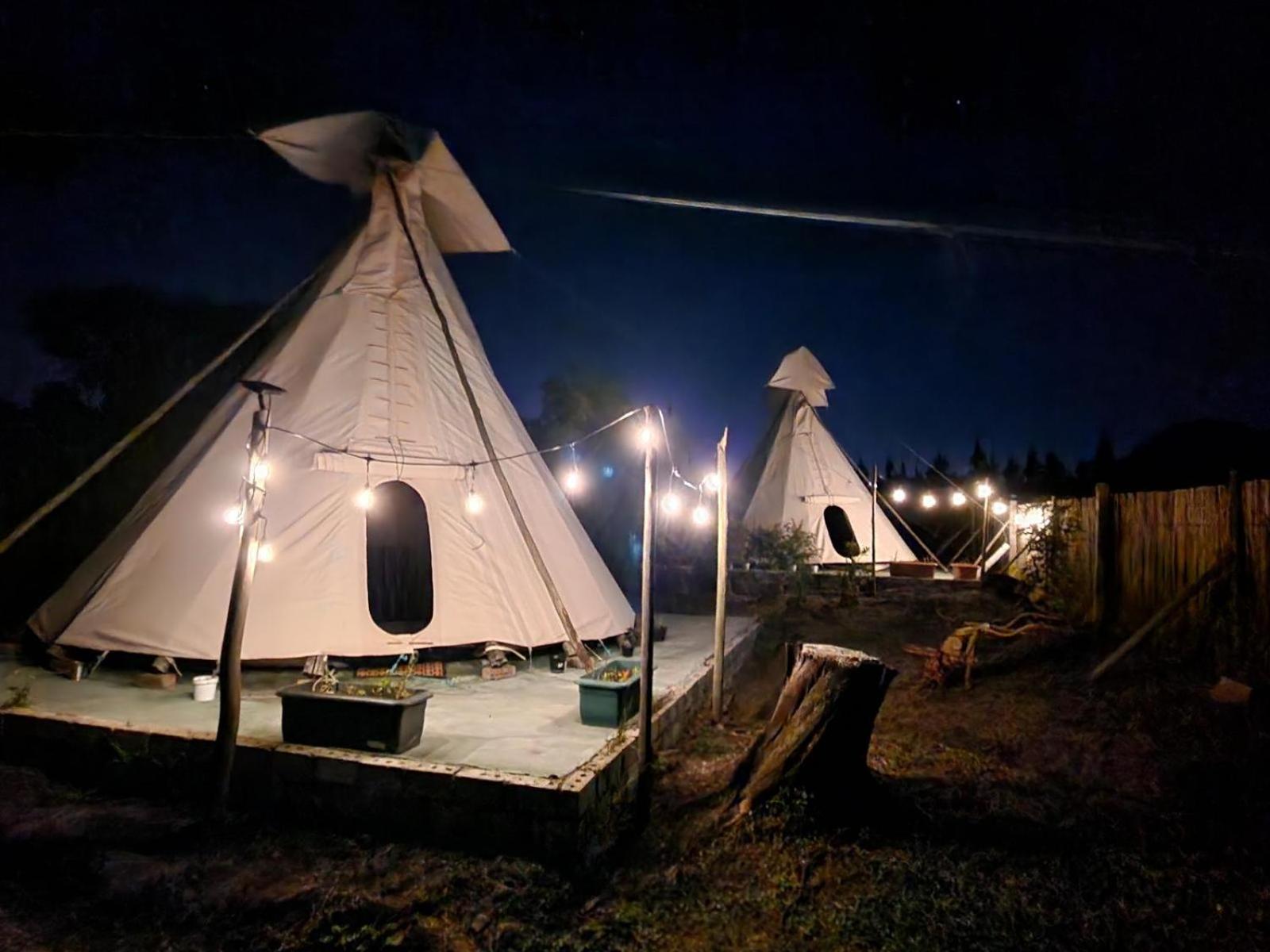 Tsitsikamma Wolf Sanctuary Eco Cabins & Teepees Stormsrivier Oda fotoğraf