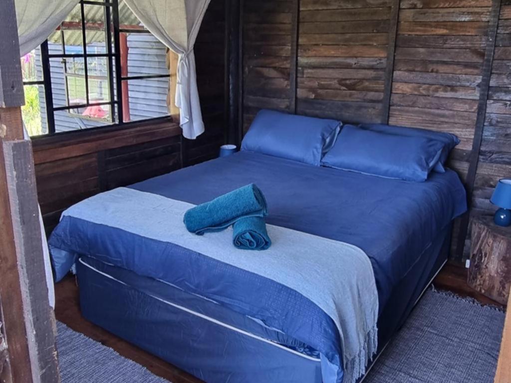Tsitsikamma Wolf Sanctuary Eco Cabins & Teepees Stormsrivier Oda fotoğraf