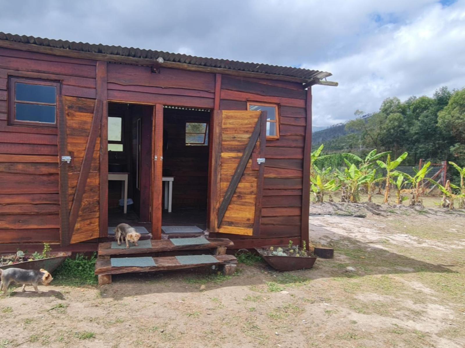 Tsitsikamma Wolf Sanctuary Eco Cabins & Teepees Stormsrivier Oda fotoğraf